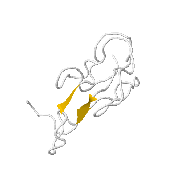 Alfa-bungarotoxina