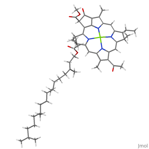 Clorofila