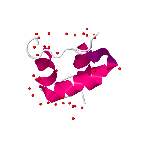 Insulina