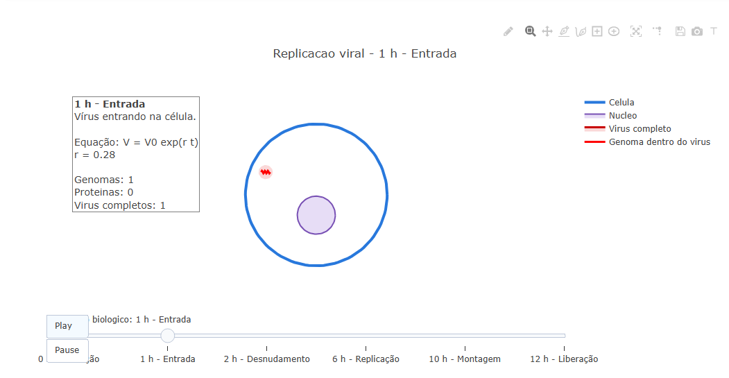 Animação de uma célula infectada ao decorrer de 12 horas.