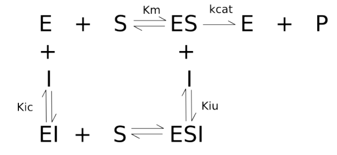 Diagrama representativo dos tipos de inibição enzimática. kcat: constante catalítica; Ki: constante de equilíbrio de dissociação do inibidor, com índices para inibição competitiva (Ki), incompetitiva (Kiu) e não competitiva (Kic e Kiu).