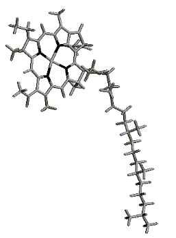 Estrutura molecular da clorofila, principal pigmento fotossintético de conversão de energia luminosa em química. Observar a coordenação do magnésio central no anel através de quatro átomos de nitrogênio.